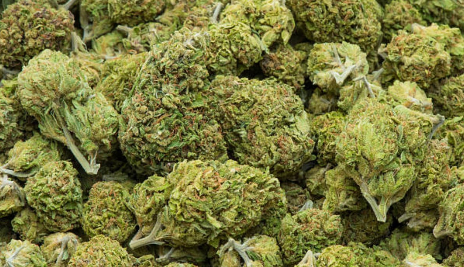 Bundles