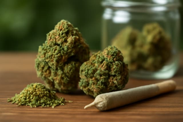 Top 10 High-THC Strains Every Cannabis Enthusiast Must Try