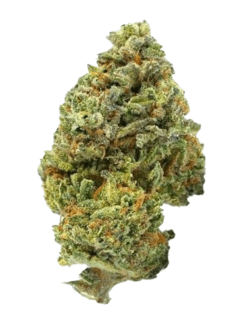 Skittlez