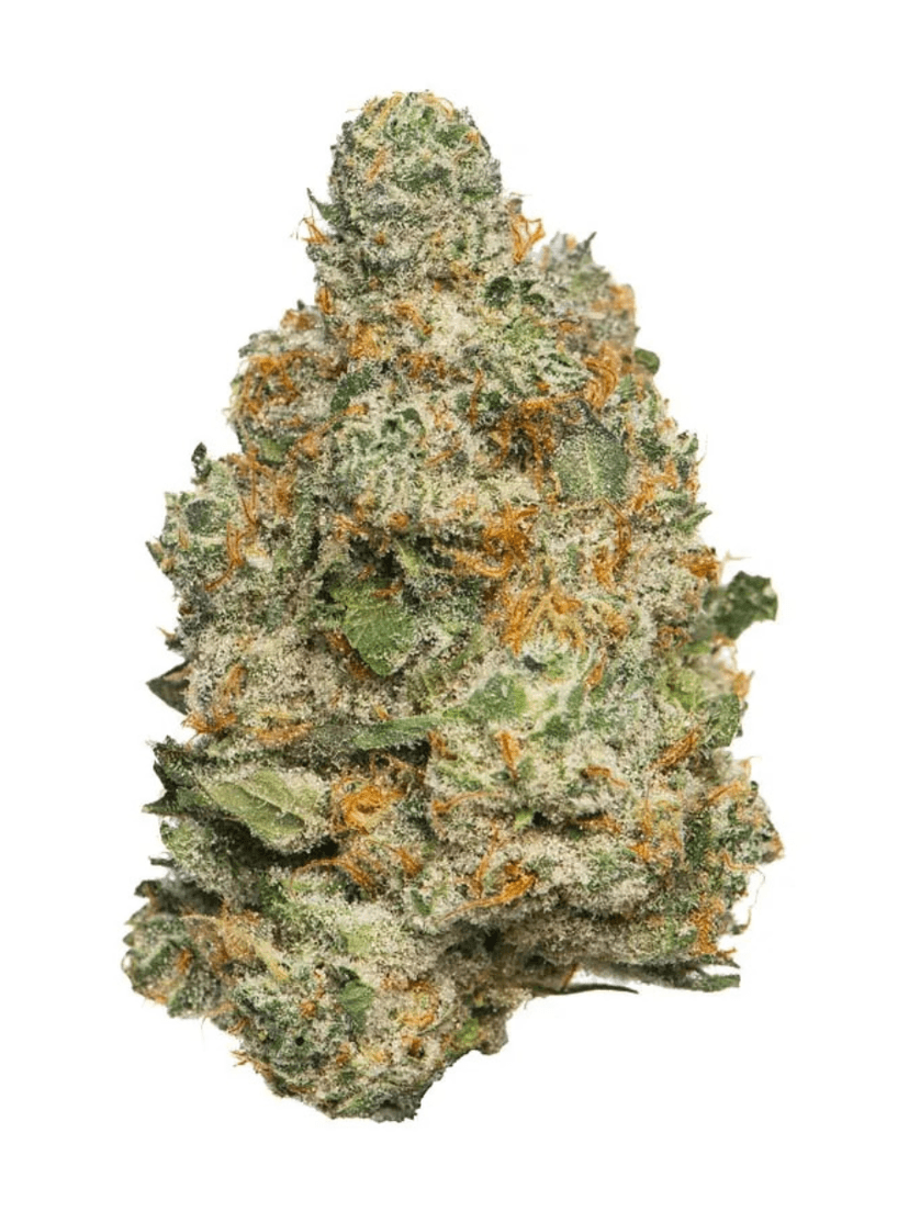 Apple Fritter