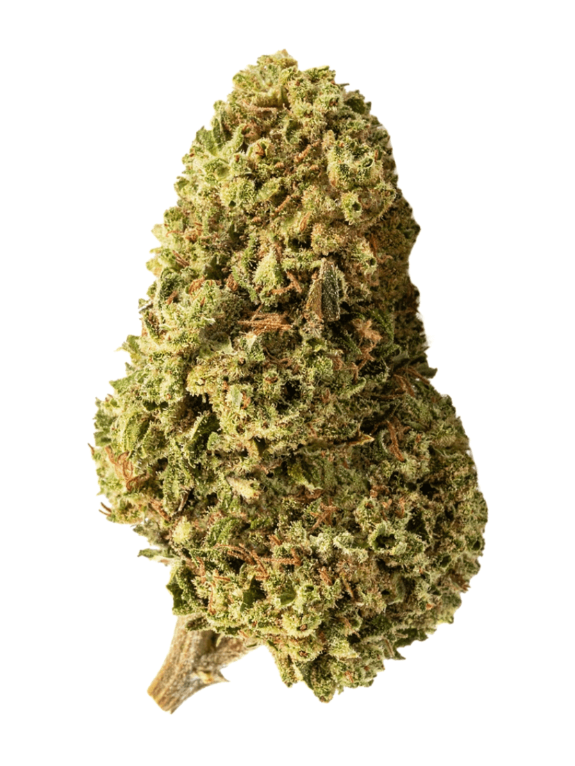 Bubblegum