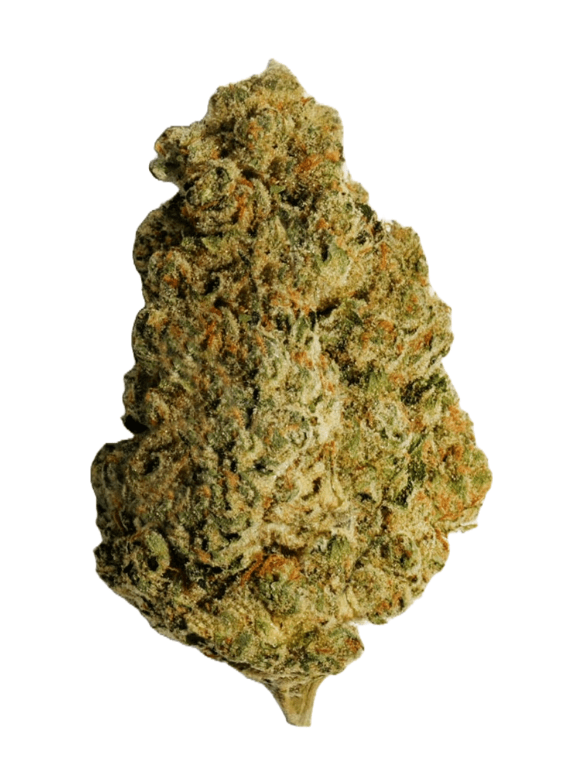 Gelato