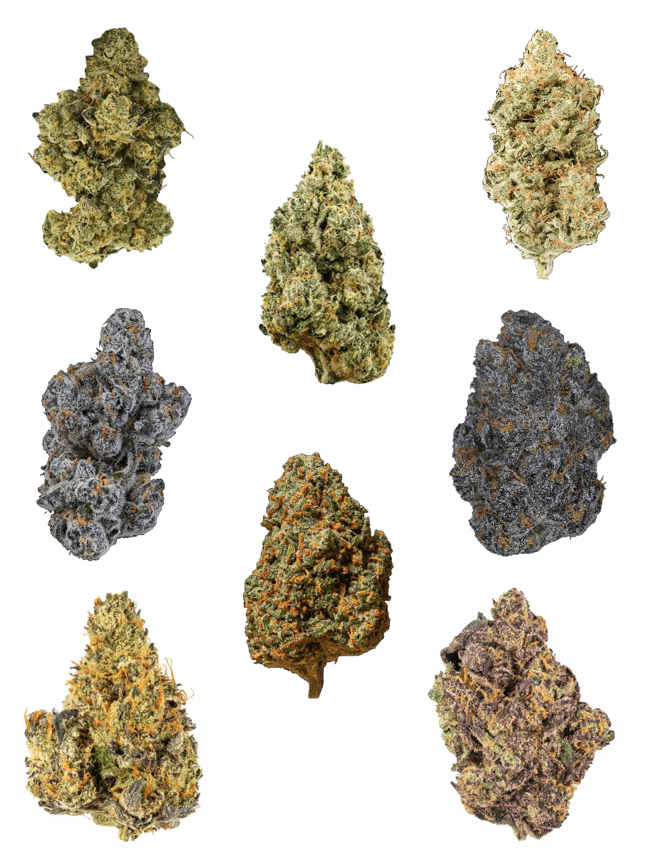 Mix UK Grow Bundle