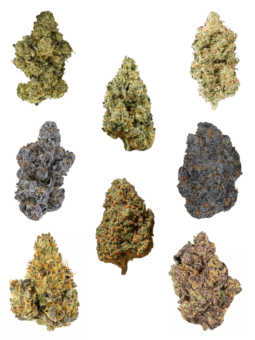 Mix UK Grow Bundle