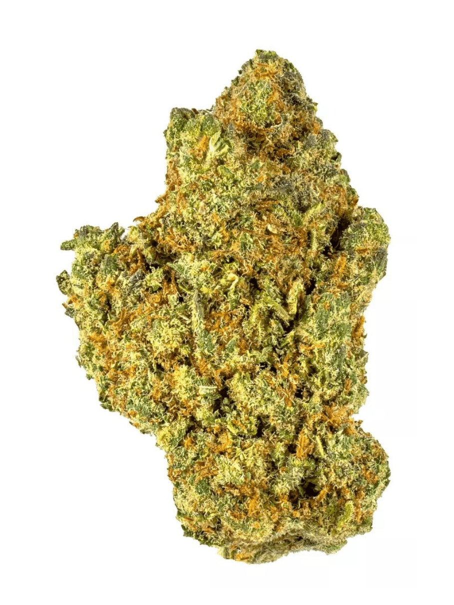 Pink Starburst