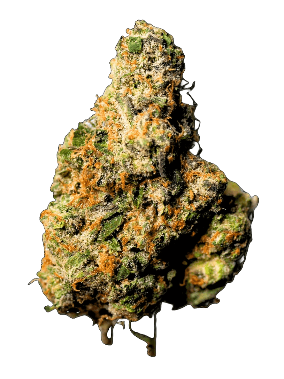 Fruit Gusherz