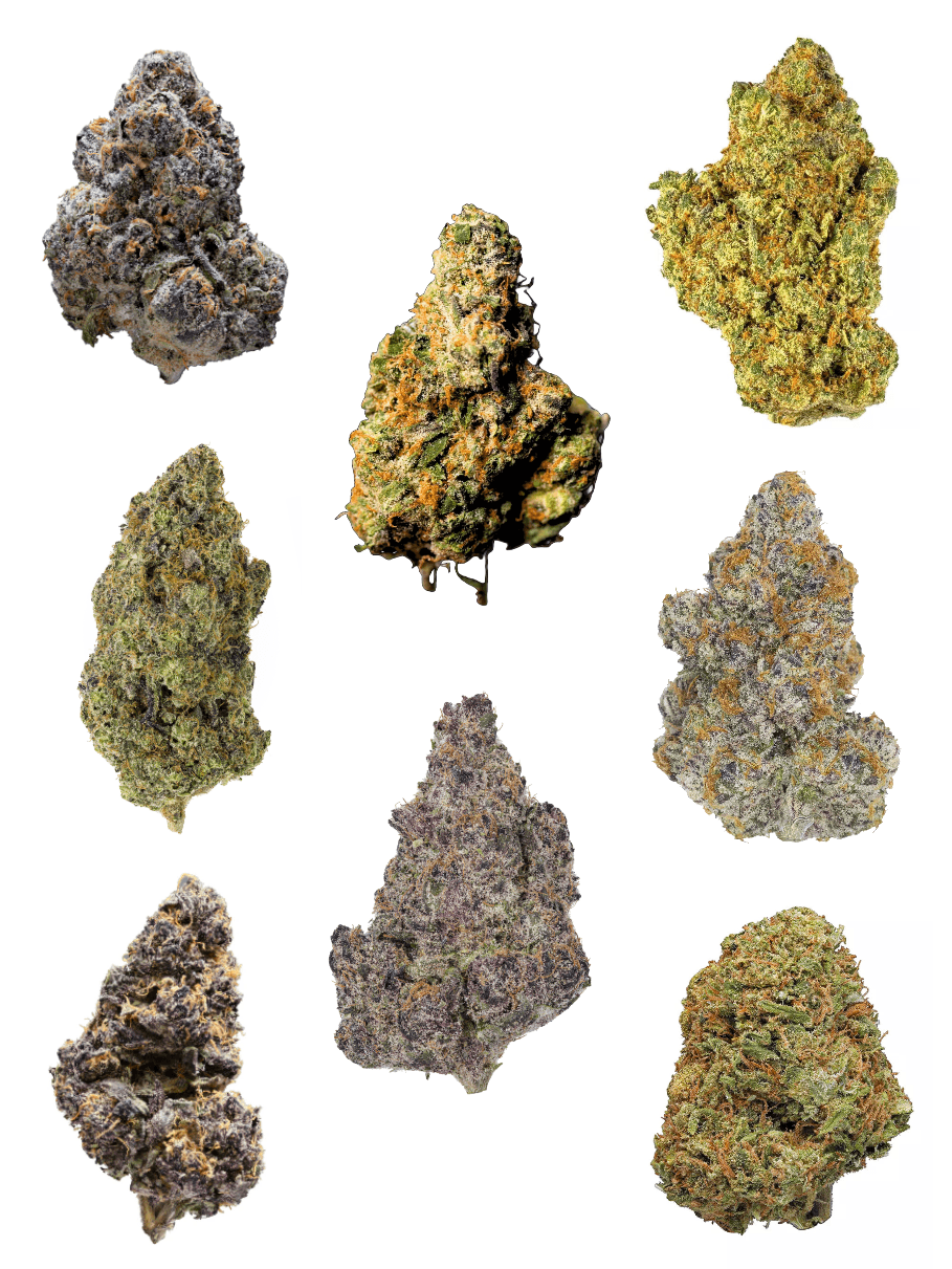 Mix Exotic Grow Bundle