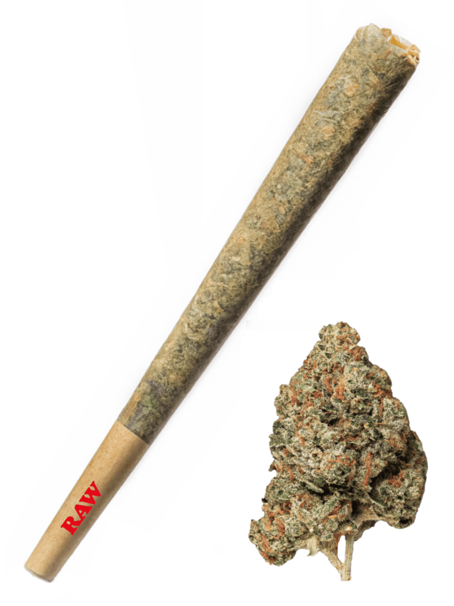 Pink Kush