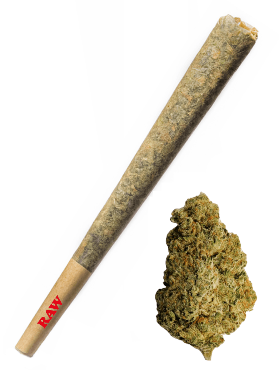 Gelato