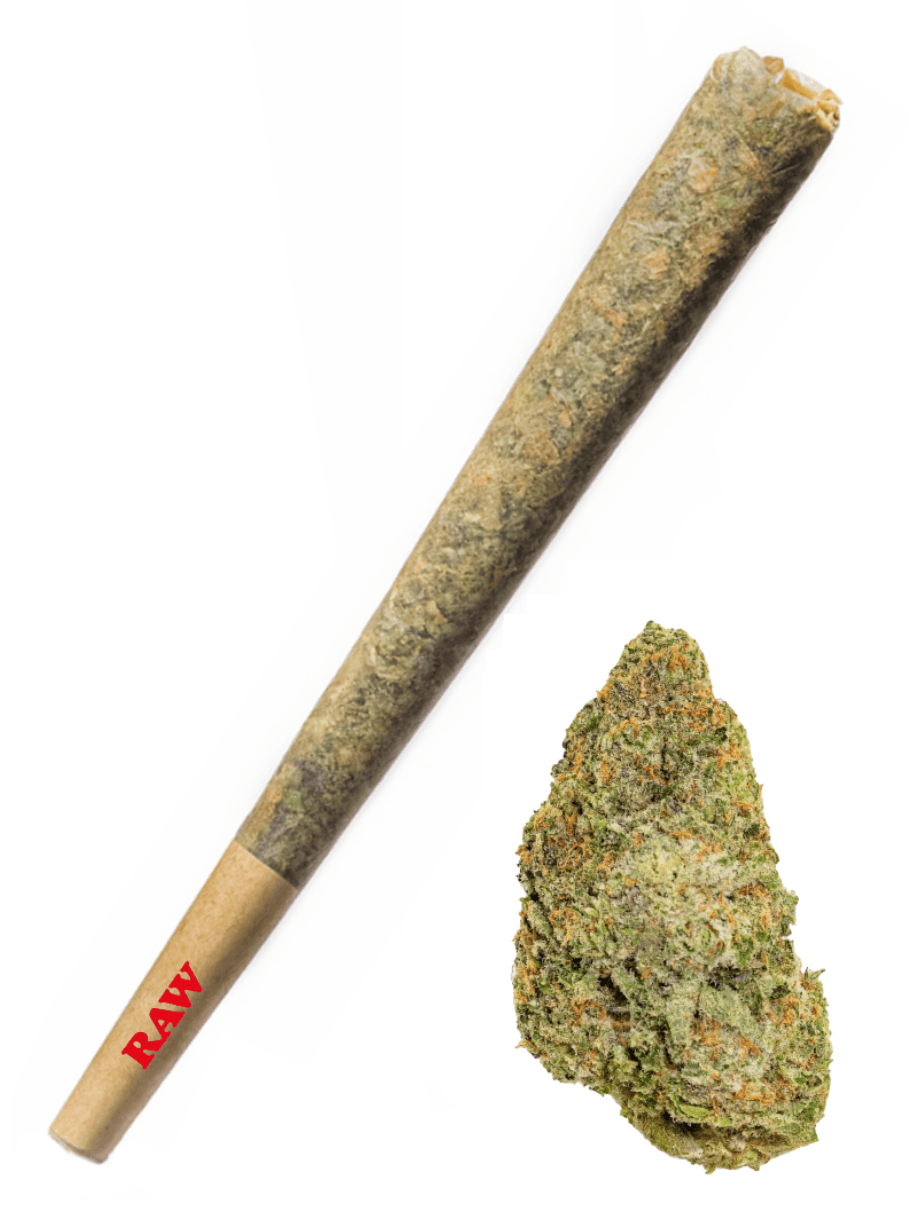 Frosty Candyland