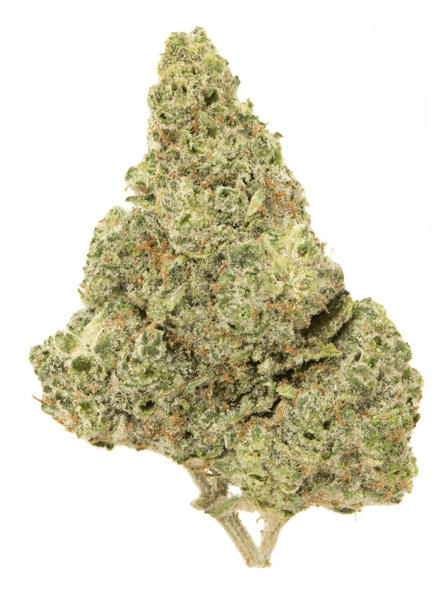Key Lime Pie