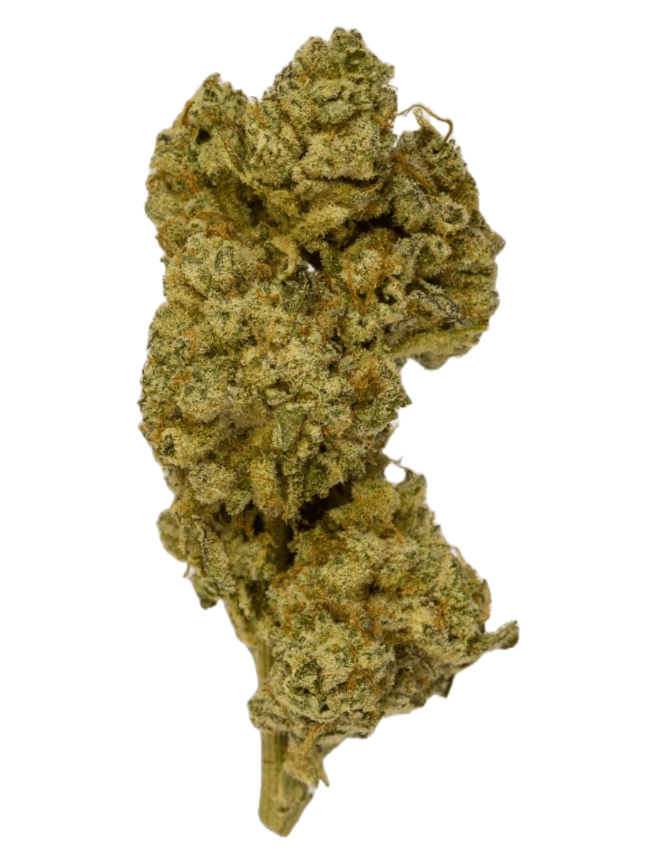Blue Sherbert