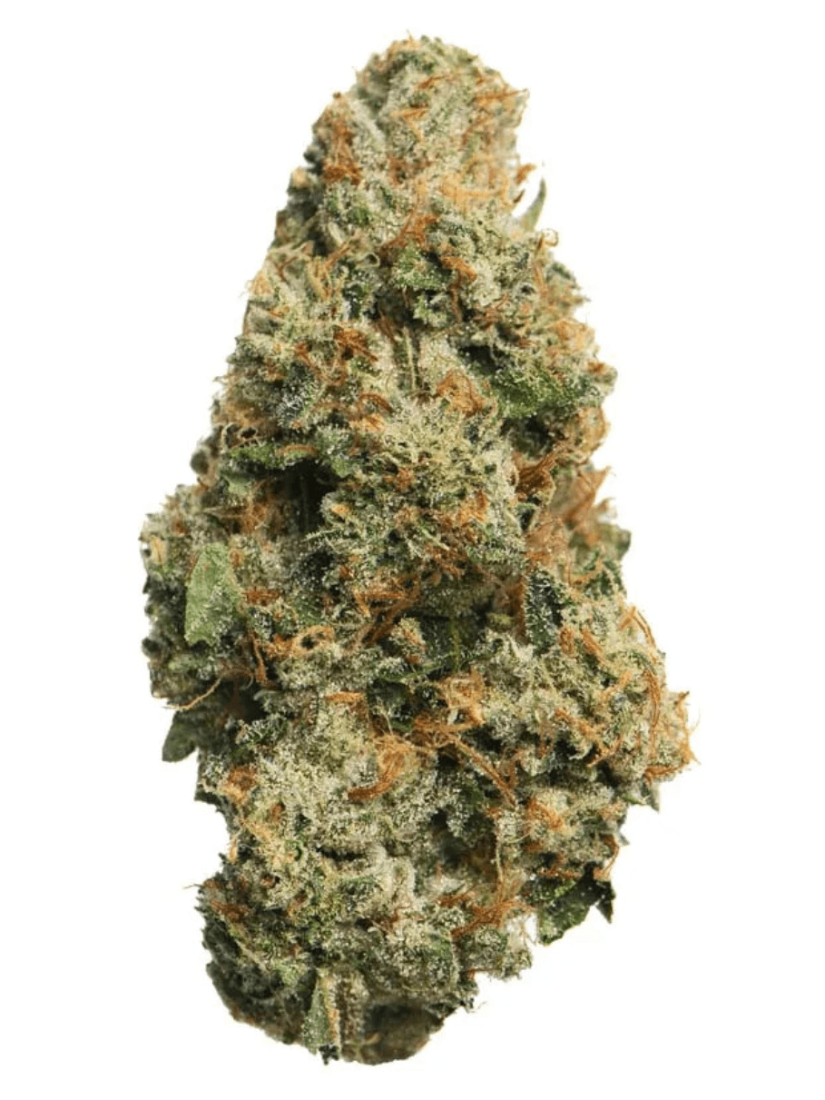 King Louis XIII