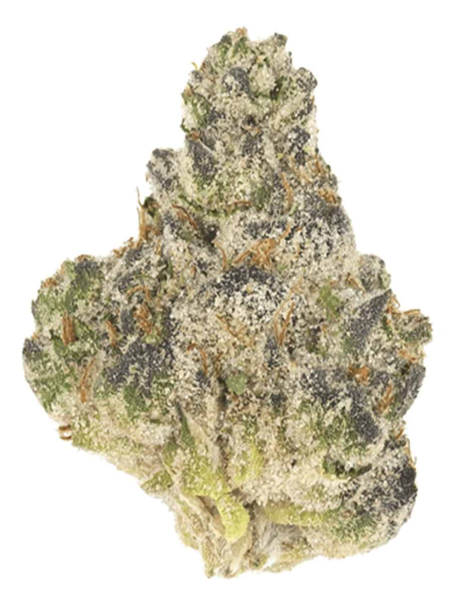 Pheno 51