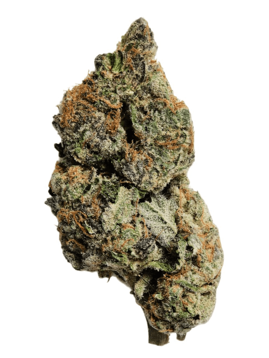 Jet Fuel