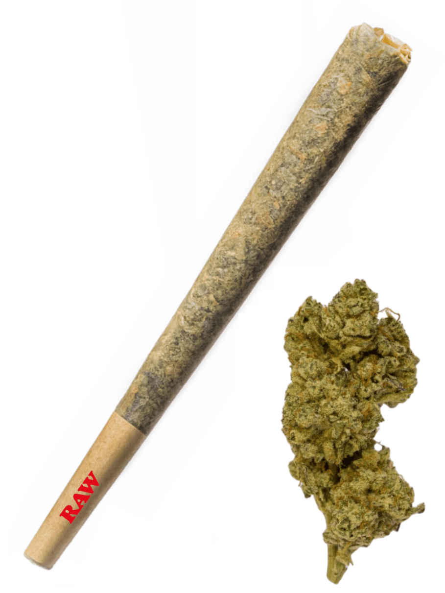 Blue Sherbert