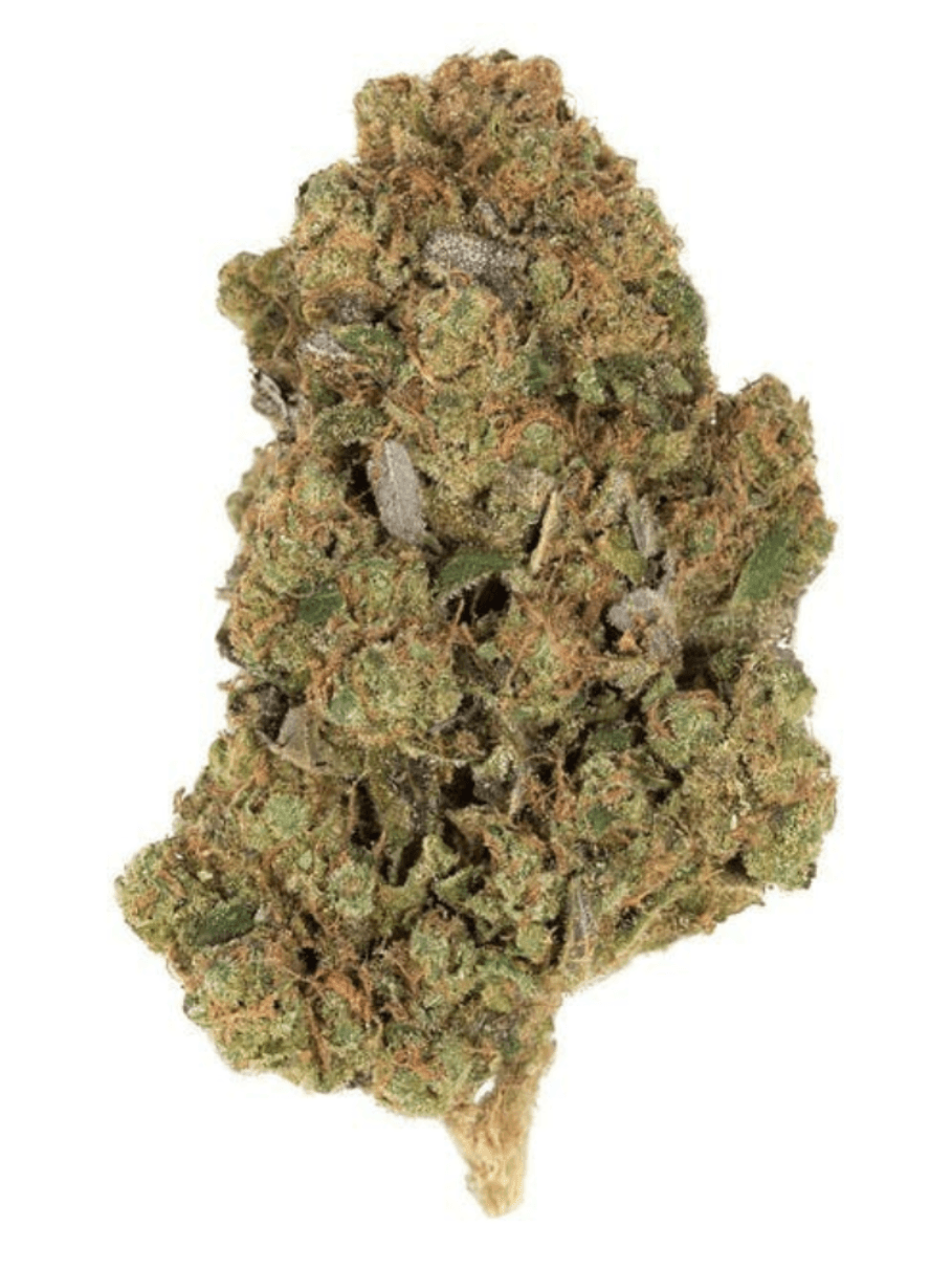 Californian Humboldt
