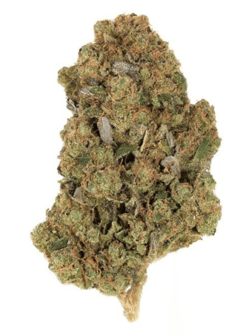 Californian Humboldt