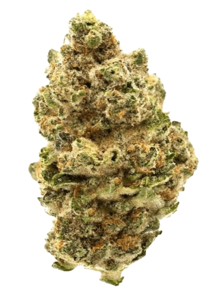 Dosidos