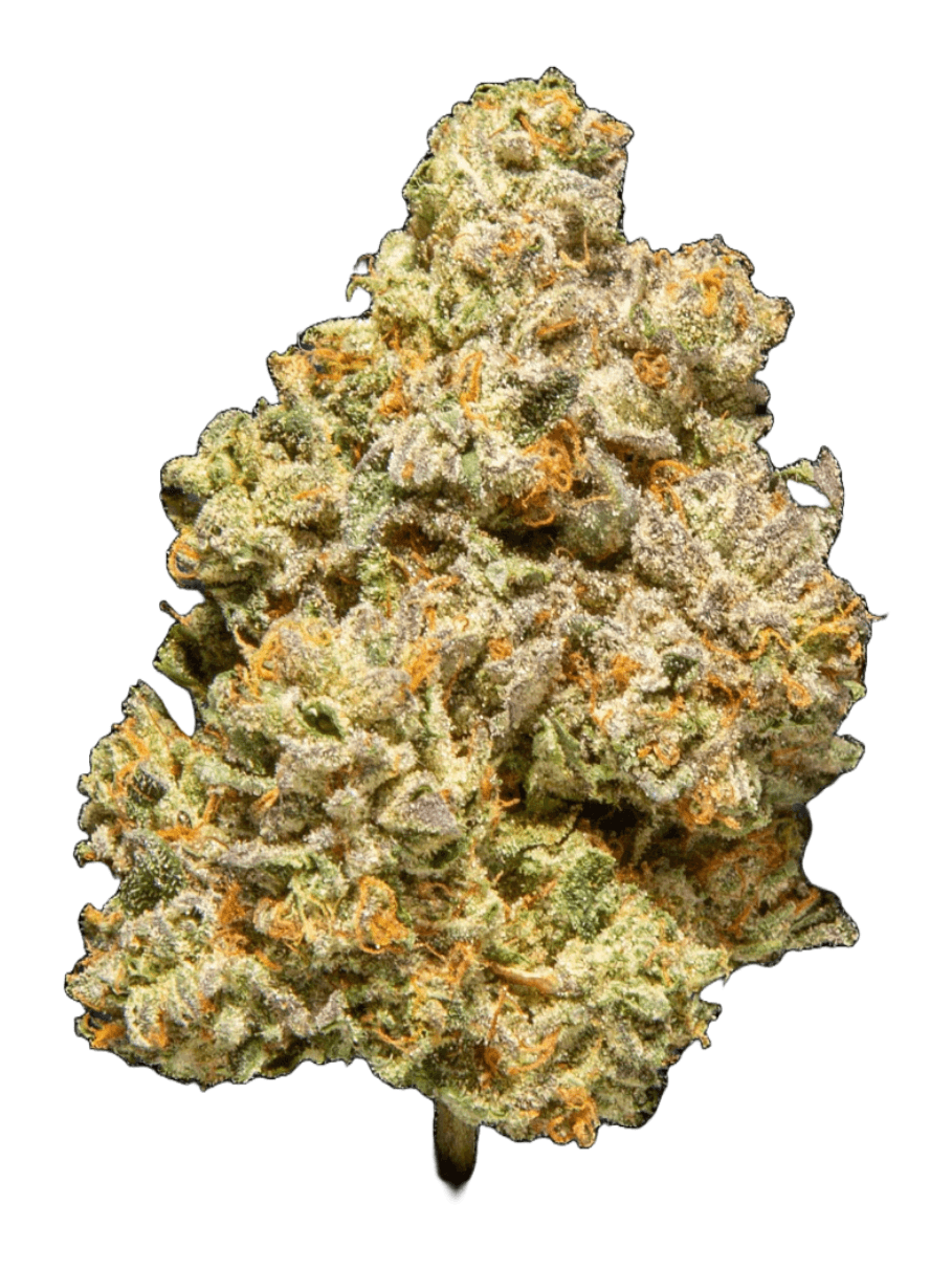 Divine Gelato