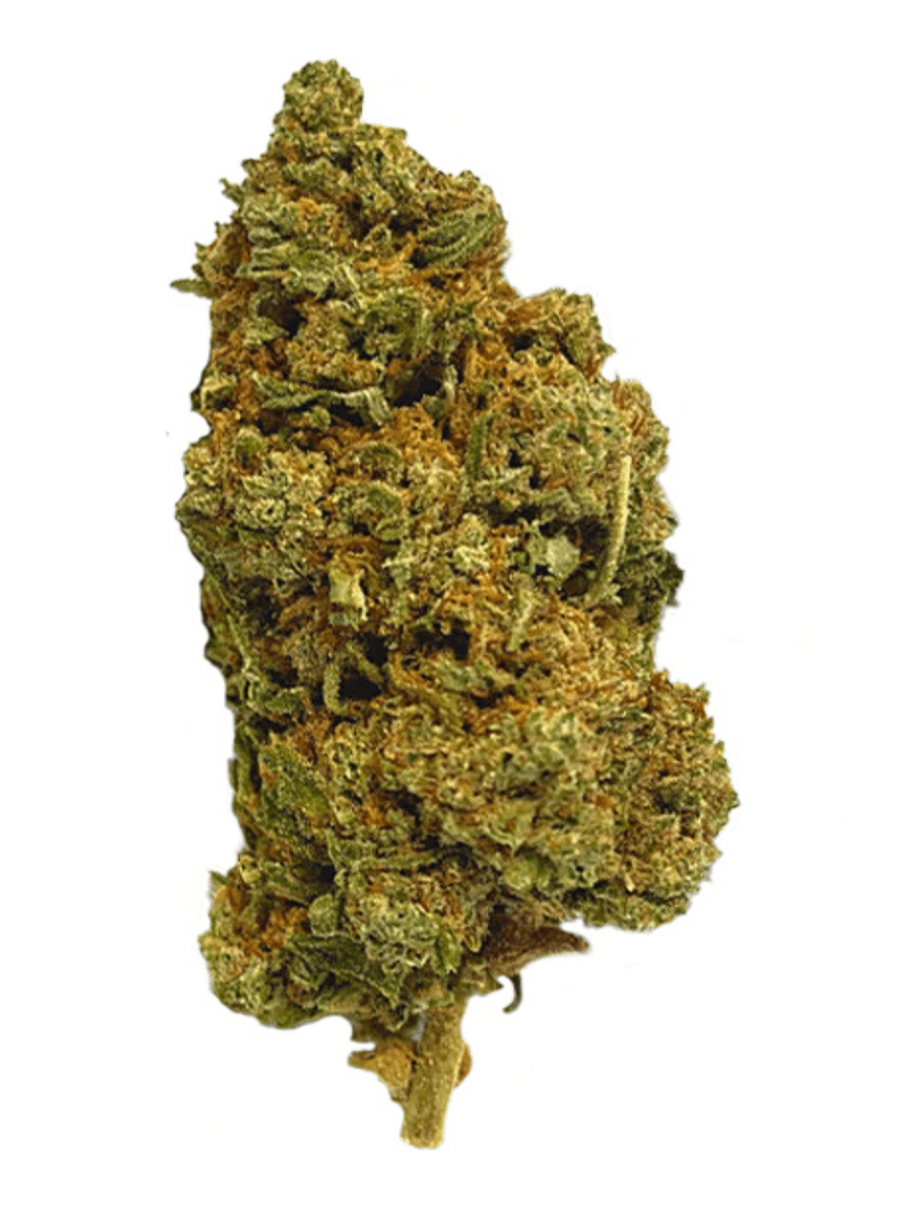 Super Lemon Haze