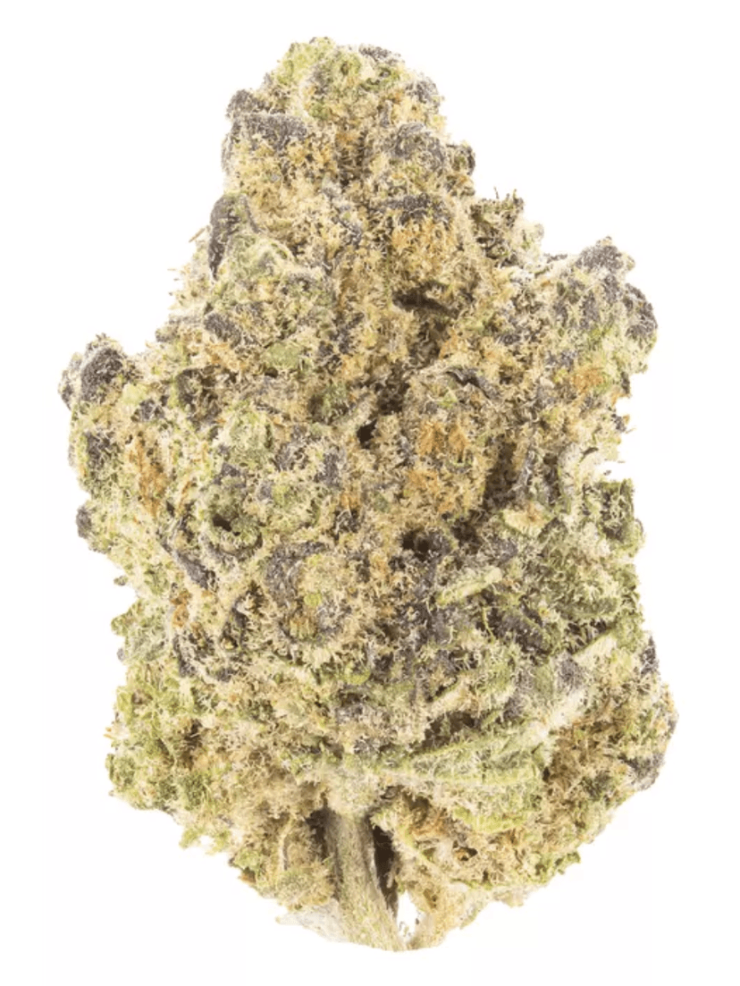 Animal Cookies