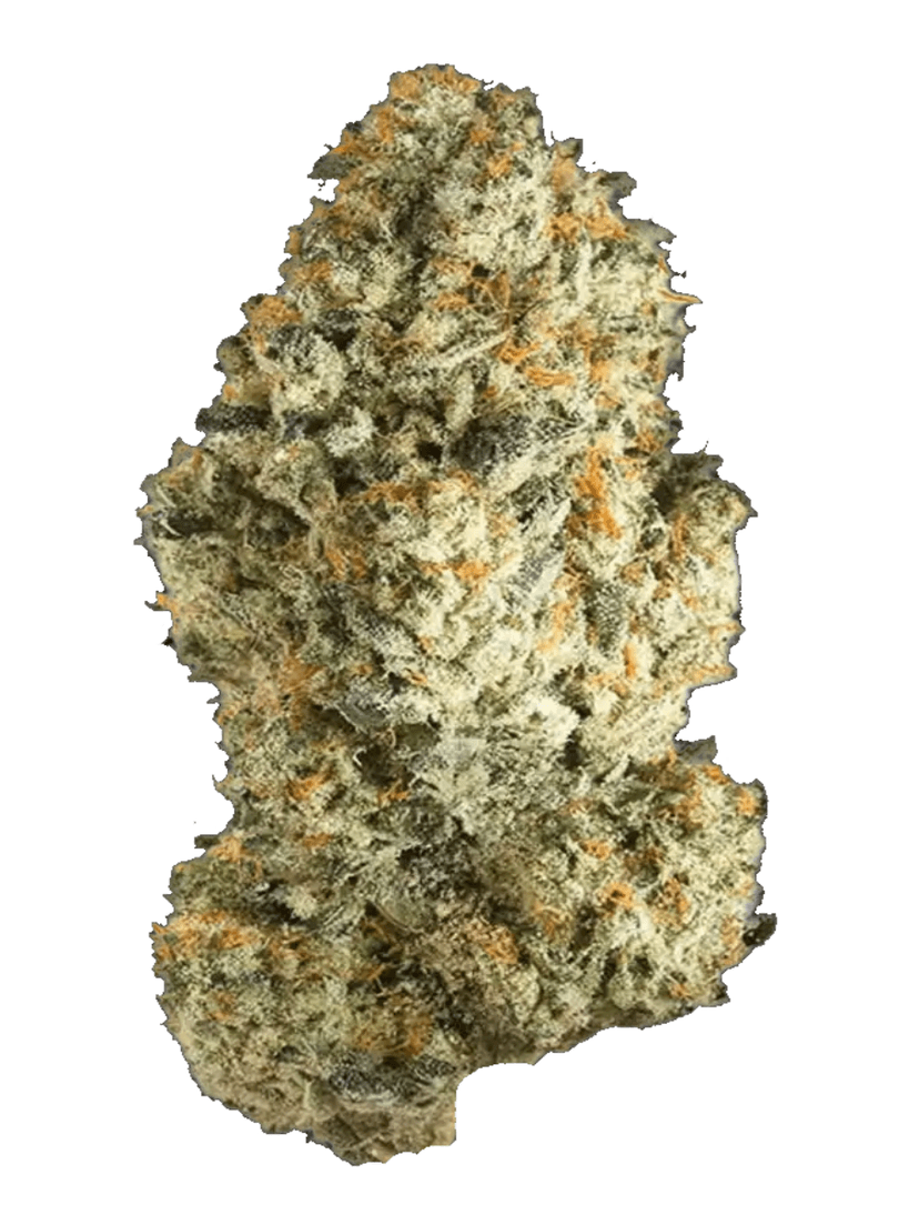 Bubblegum Popperz