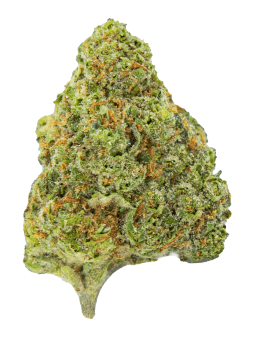 Nuke Headz