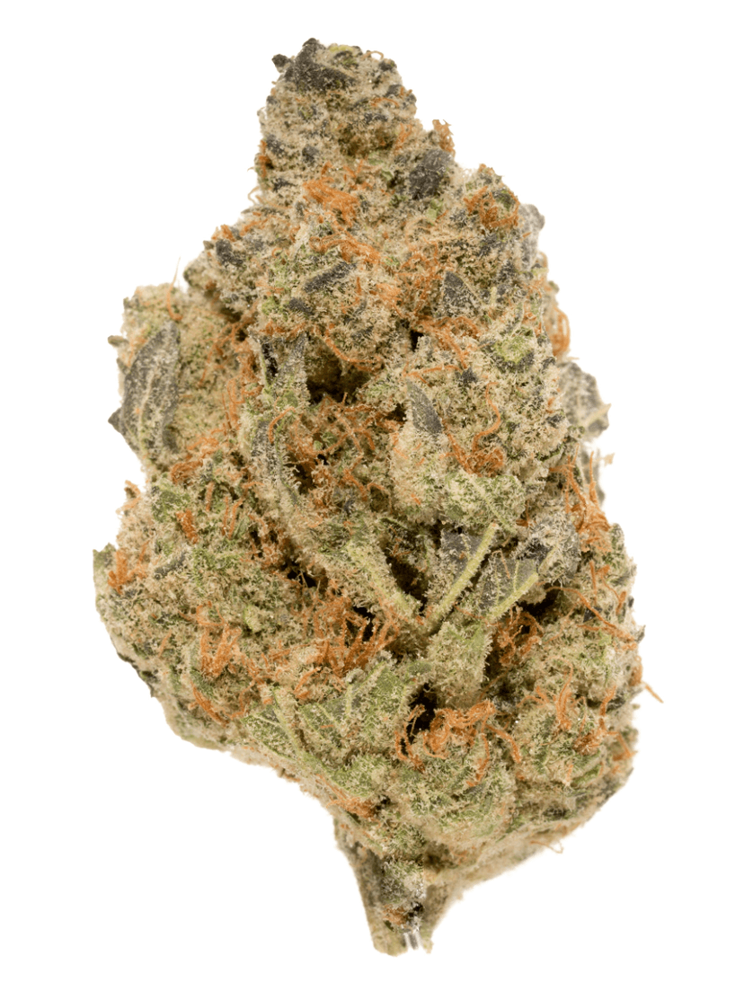 Agent Orange