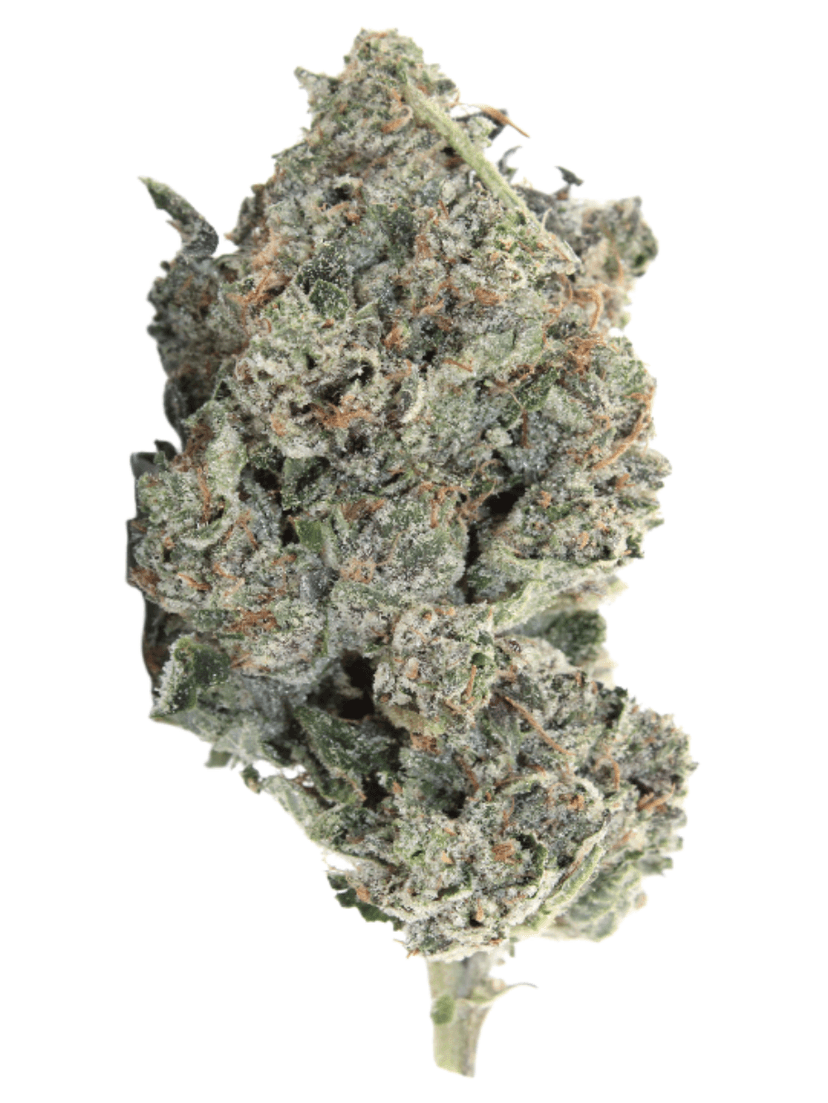 Blueberry Space Cake