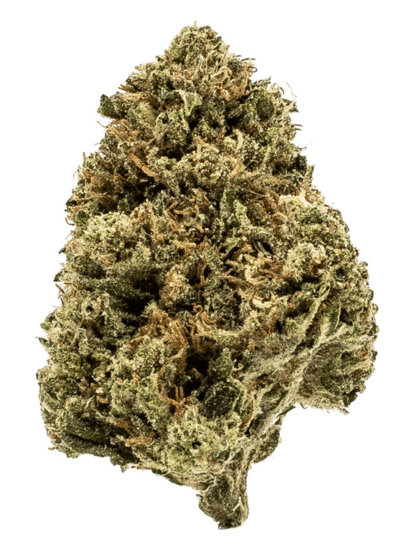 Platinum Gorilla
