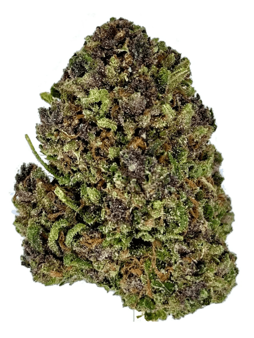 Gruntz
