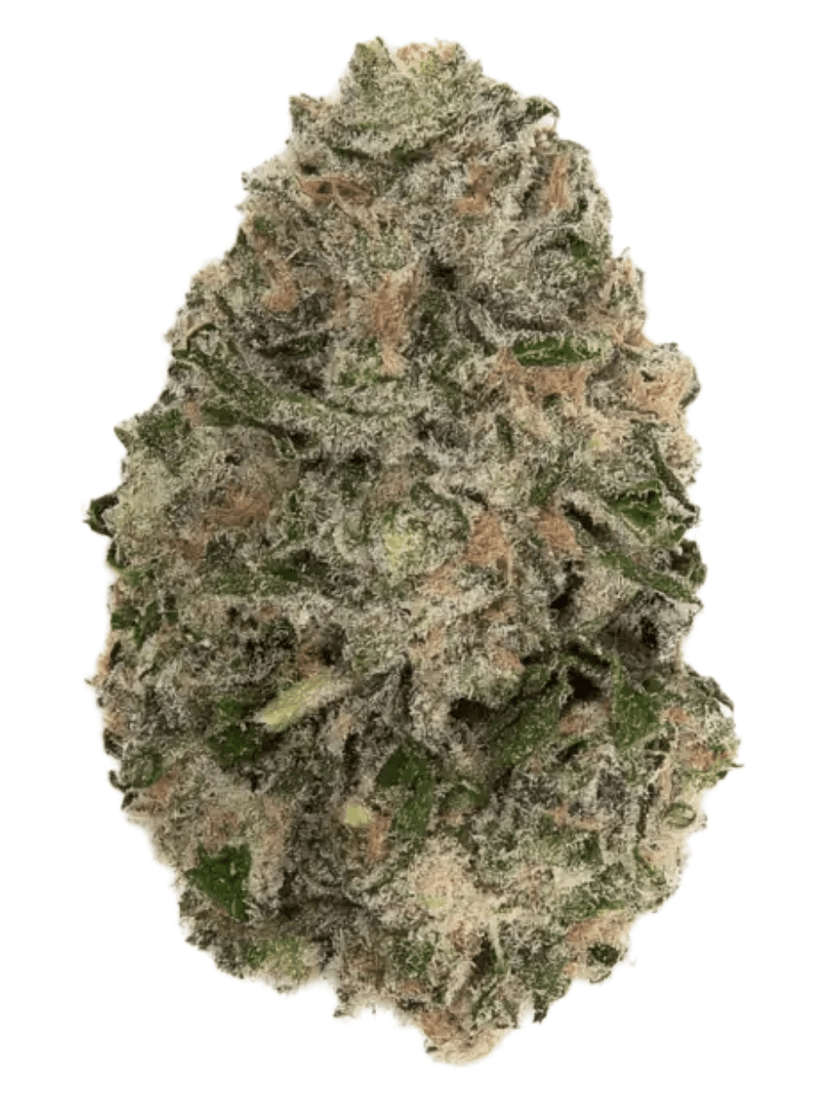 Shiatsu Kush