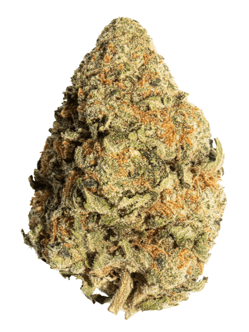 Golden Pineapple