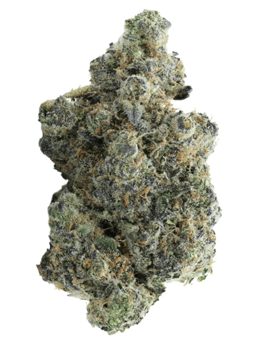 Blue Cookies