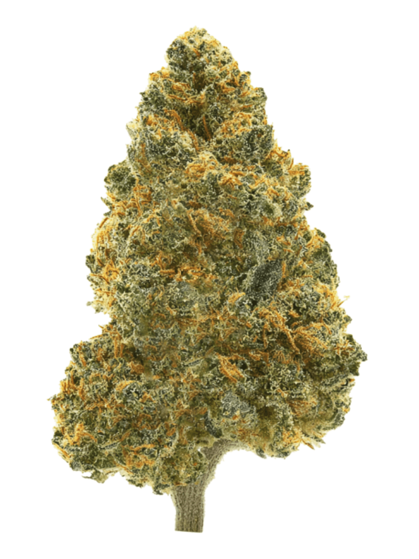 Sour Diesel